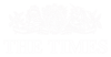 The-Times_White-565x294
